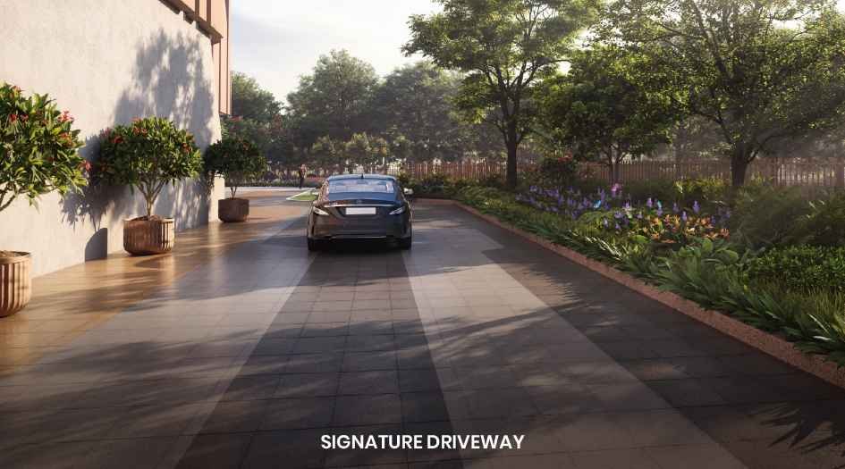 Anchorpoint-Aviara-Amenities-Driveway
